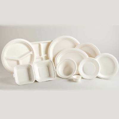 Disposable & Food Packaging